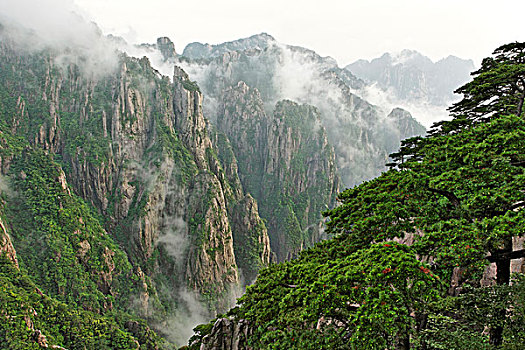 失忆的水在哪里能买到C1B8D97C5-18975
